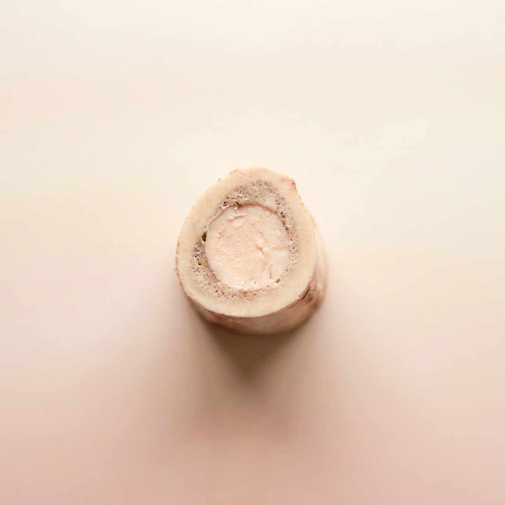 Bone marrow